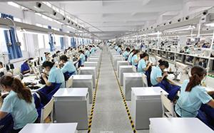 Jinan Xuanzi Human Hair Limited Company 会社案内